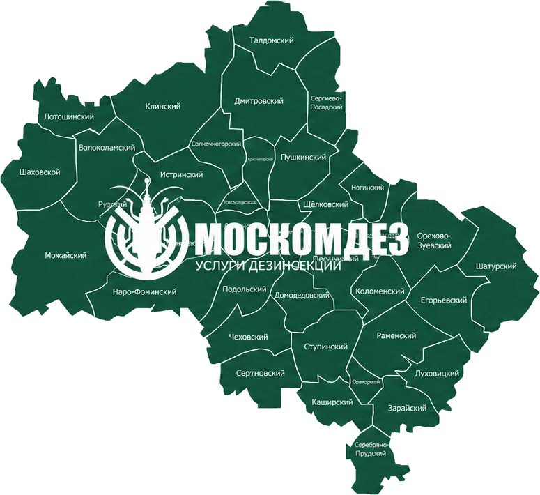 Карта выезда: Черноголовка и Московская область
